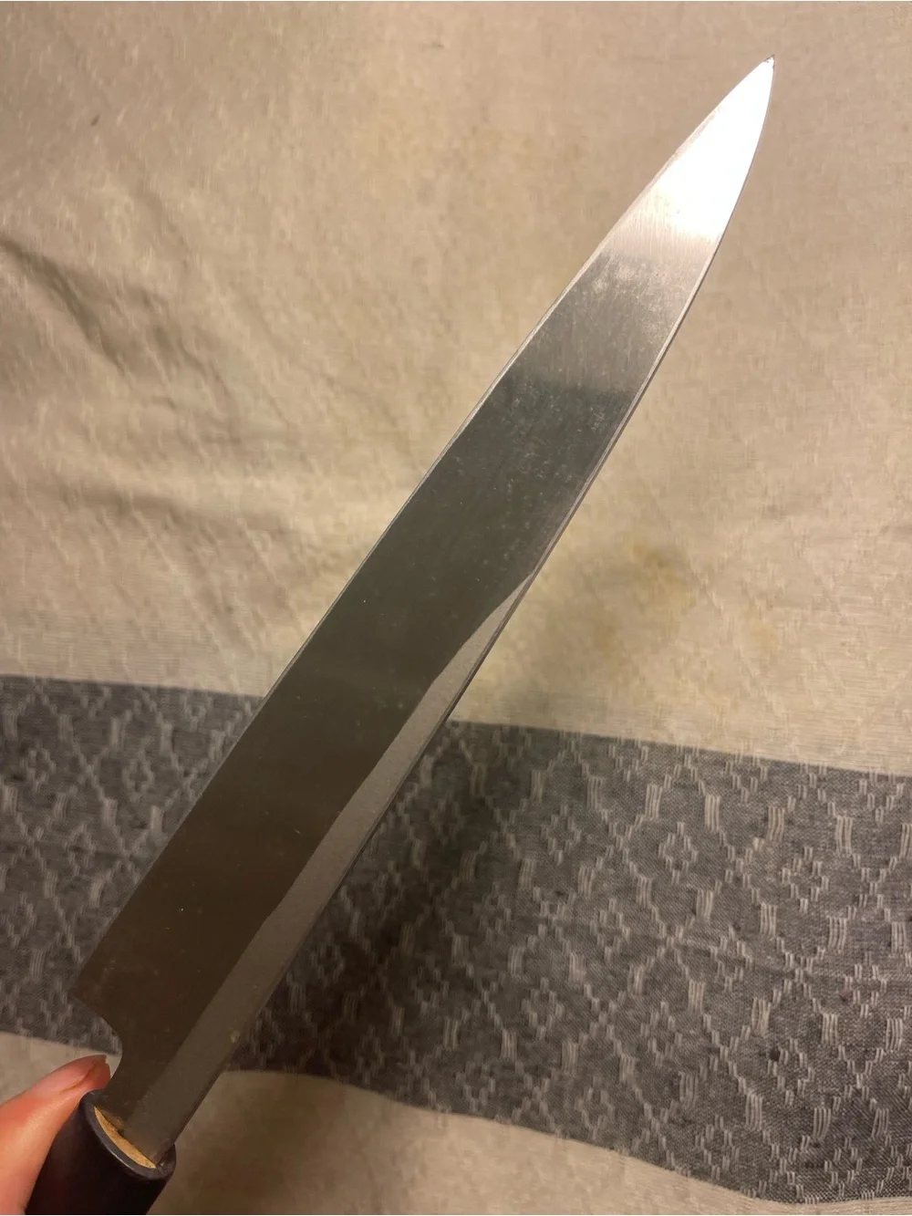 Japanese Yanagiba Knife 210mm Sakai Kikutora 堺菊虎 特上  kitchen knife